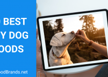 Best Dry Dog Foods – Top Picks and Buying Guide (2022)