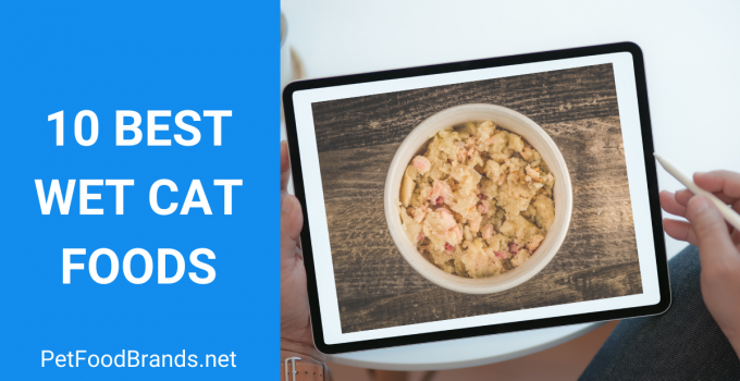 10 Best Wet Cat Foods 2022 – Is wet food good?