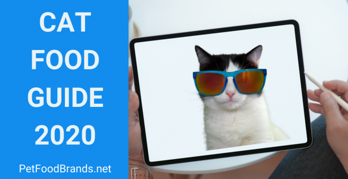 Ultimate Cat Food Guide 2022 for cat owners