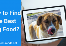 9 Tips to Find Best Dog Food