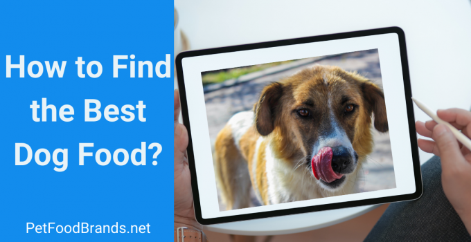 Tips to Find Best Dog Food