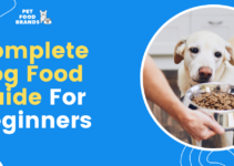 Complete Dog Food Guide for Beginners (2022)