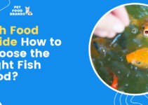 Fish Food Guide 2022 – How to Choose the Right Fish Food?