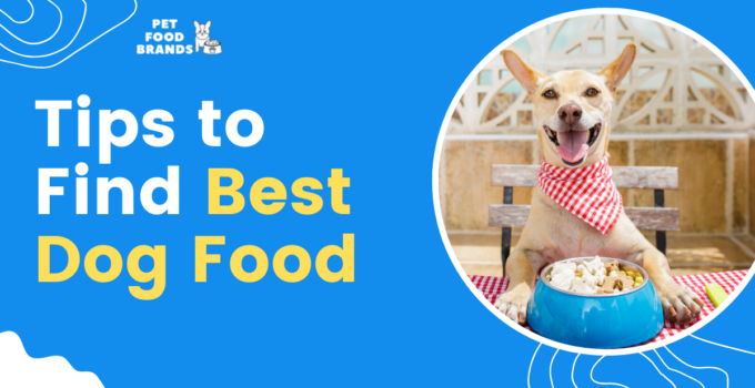 tips-to-find-best-dog-food