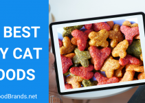 Best Dry Cat Foods – Is Dry Cat Food Harmful? (2021)