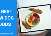 Best Raw Dog Food – Top picks and FAQs (2022)
