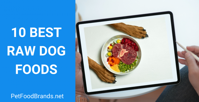 Best Raw Dog Food – Top picks and FAQs (2022)