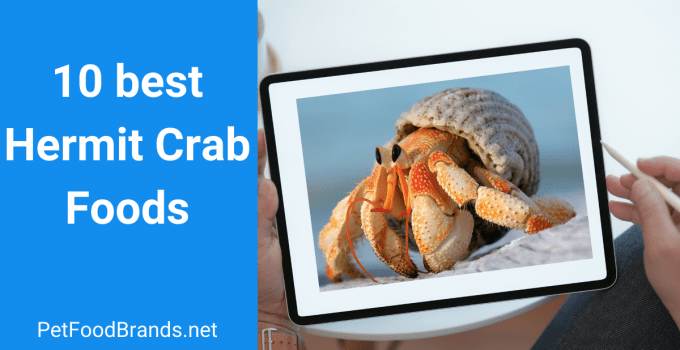 Best Hermit Crab Foods 10 Foods Reviewed And Faqs 2022