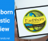 Earthborn Holistic Review – Are their products natural?