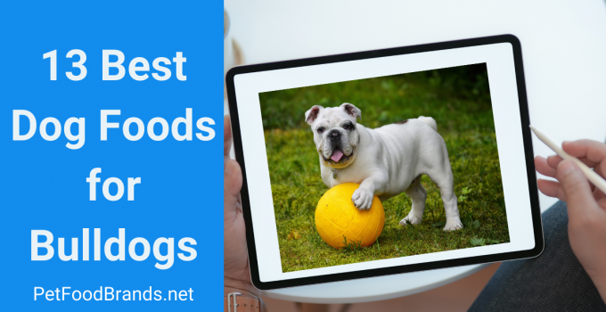 Best dog foods for Bulldogs