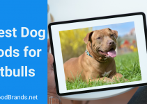 8 Best Dog Food for Pitbulls + Buying Guide (2022)