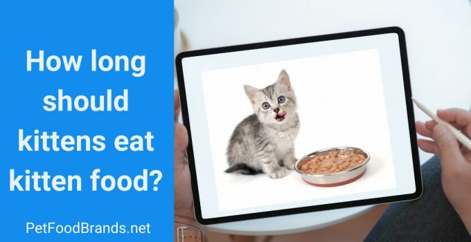 How long should kittens eat kitten food