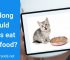 Cat Transition: How long should kittens eat kitten food?