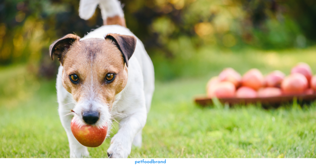 Can Apples hurt your dog