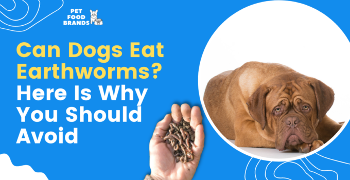 can-dogs-eat-earthworms