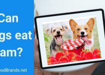 Can dogs eat jam? Is it healthy for my dog?