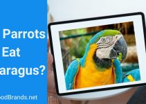 Can Parrots Eat Asparagus? Is it nutritious?