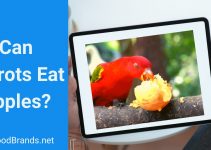 Can parrots eat apples?