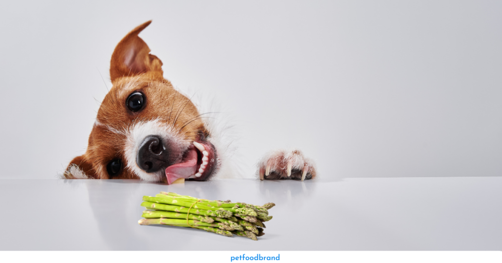 Can dogs eat Asparagus