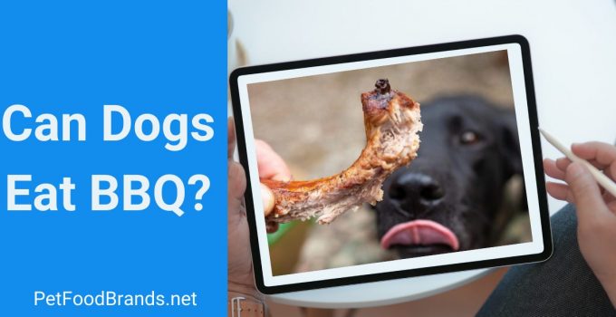 Can Dogs Eat BBQ? Sauce, Pringles & Chips