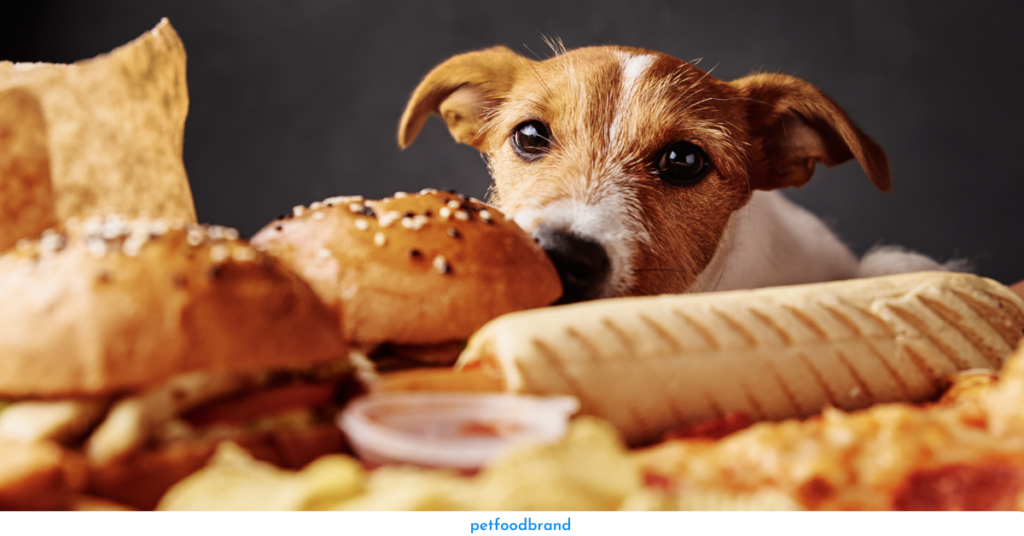 Can dogs eat bread