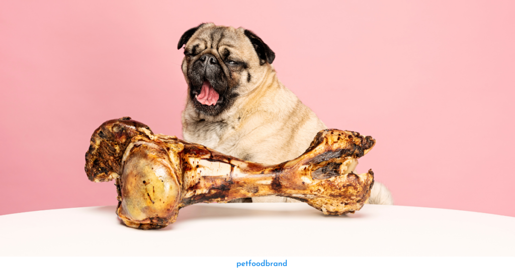 What cooked bones can dog eat