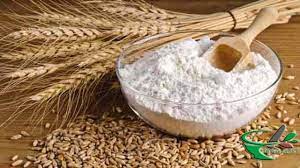 barley flour