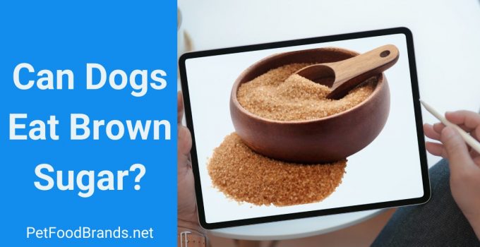 Can Dogs Eat Brown Sugar