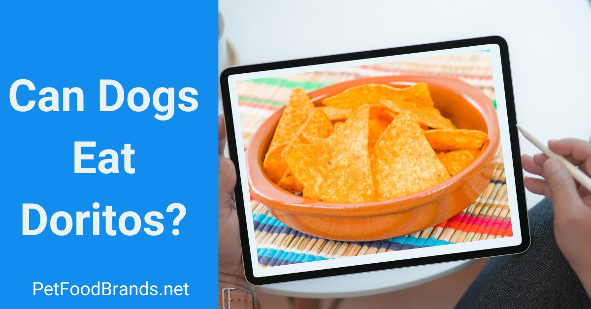 Can dogs eat Doritos? - Pet Food Brands