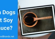 Can dogs eat Soy Sauce?