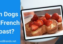 Can dogs eat French toast?