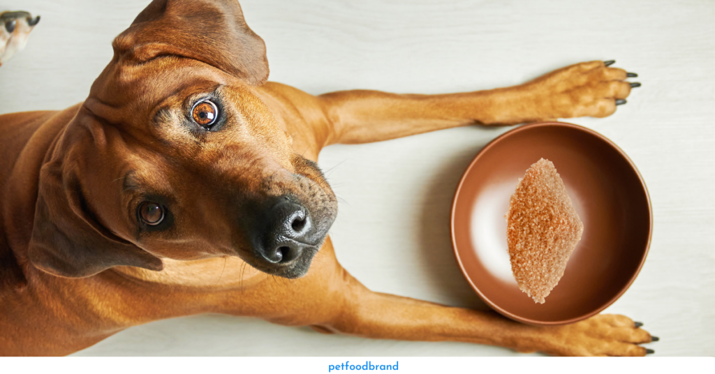 Can dogs eat brown sugar