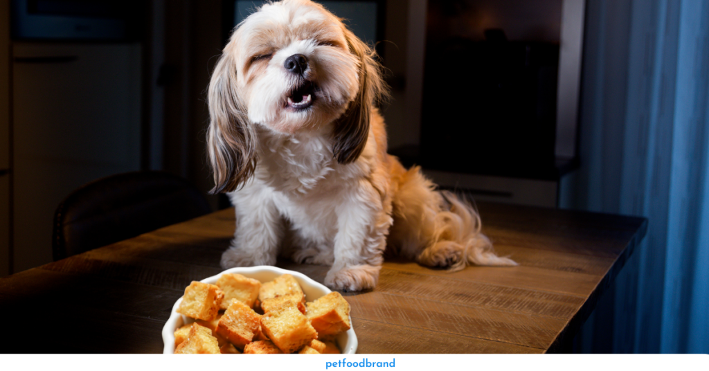 Can dogs eat croutons