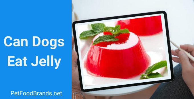 Can dogs eat jelly