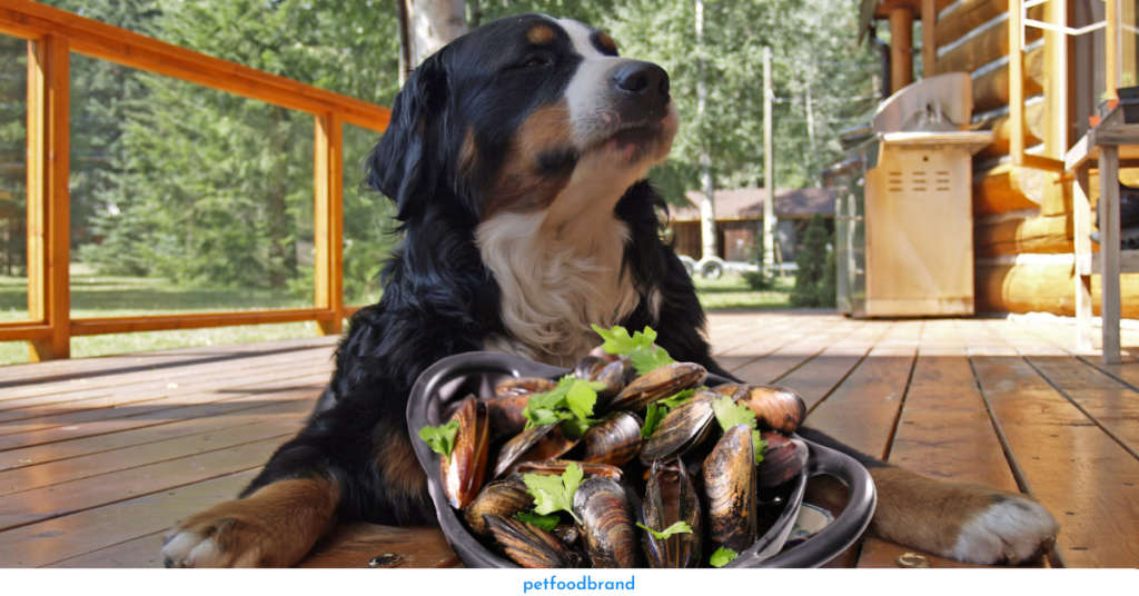 Can dogs eat mussels