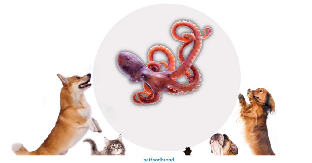 Can dogs eat octopus