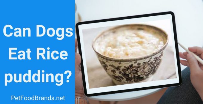 Can dogs eat rice pudding