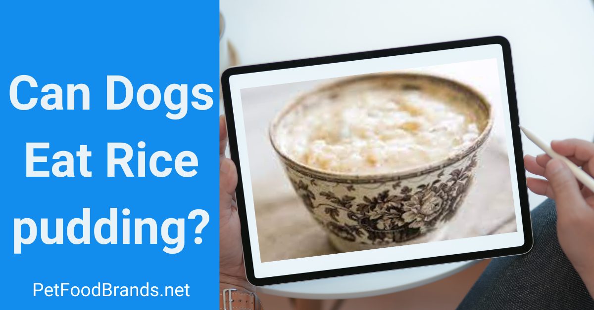 can dogs eat vanilla pudding