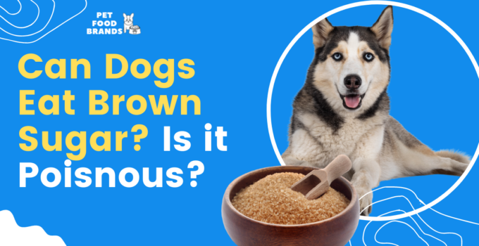 can-dogs-eat-brown-sugar