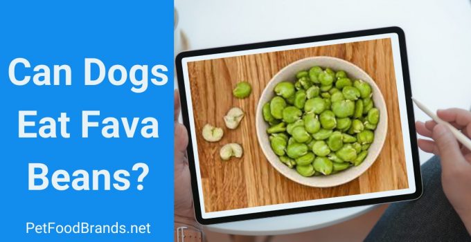 Can dogs eat fava beans?