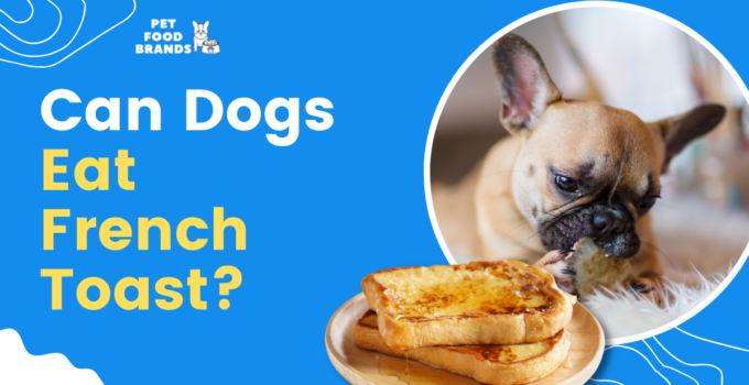 can-dogs-eat-french-toast