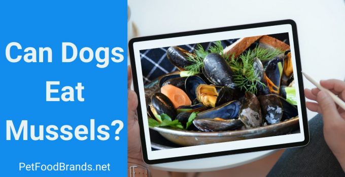 can dogs eat mussels