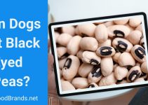 Can dogs eat black eyed peas? Raw, cooked, or canned?