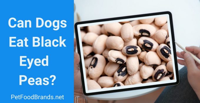 Can Dogs Eat Black Eyed Peas