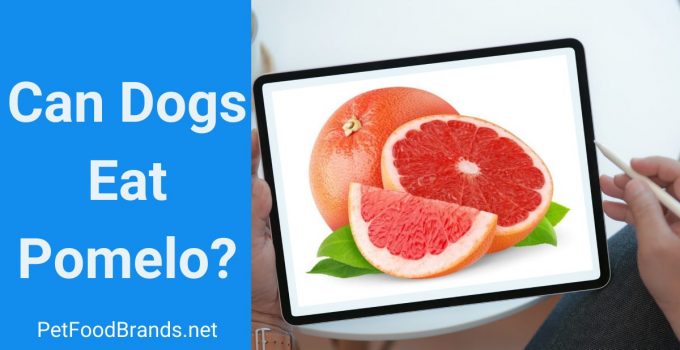 Can Dogs Eat Pomelo?