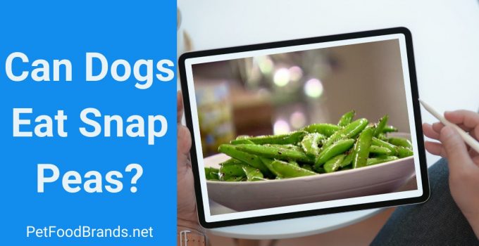 Can dogs eat snap peas? Raw, Cooked, or Frozen?