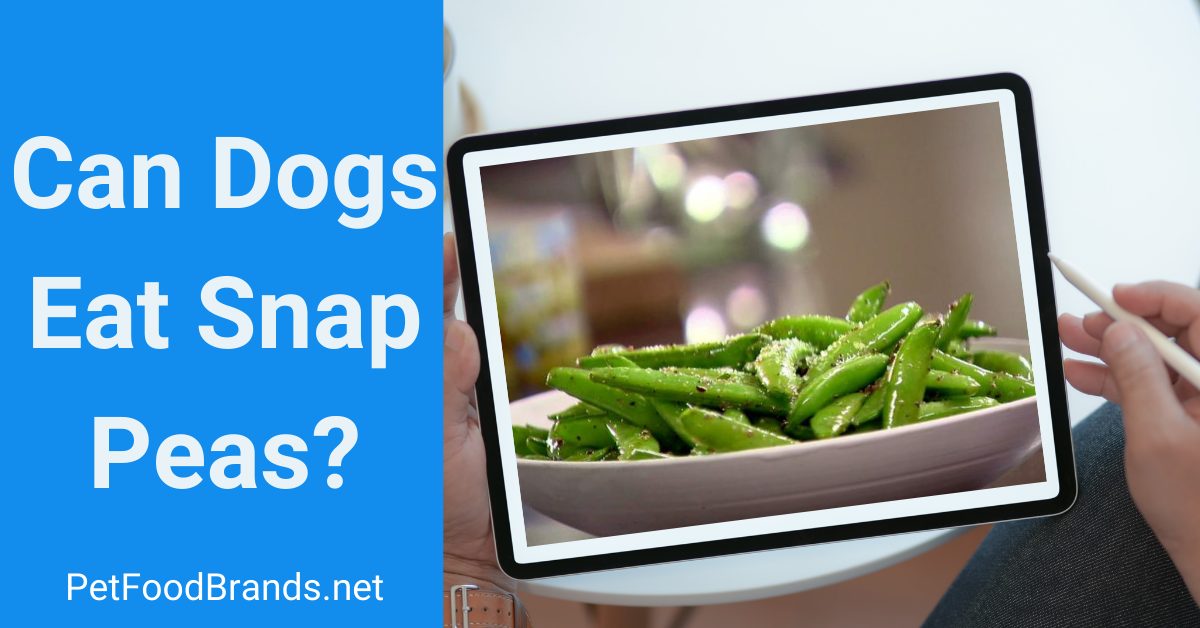 Can dogs eat snap peas? Raw, Cooked, or Frozen?