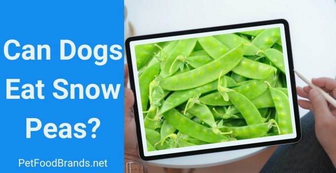 Can dogs eat Snow Peas? Are they Nutritious?