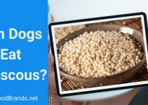 Can dogs eat couscous? Is it poisonous?