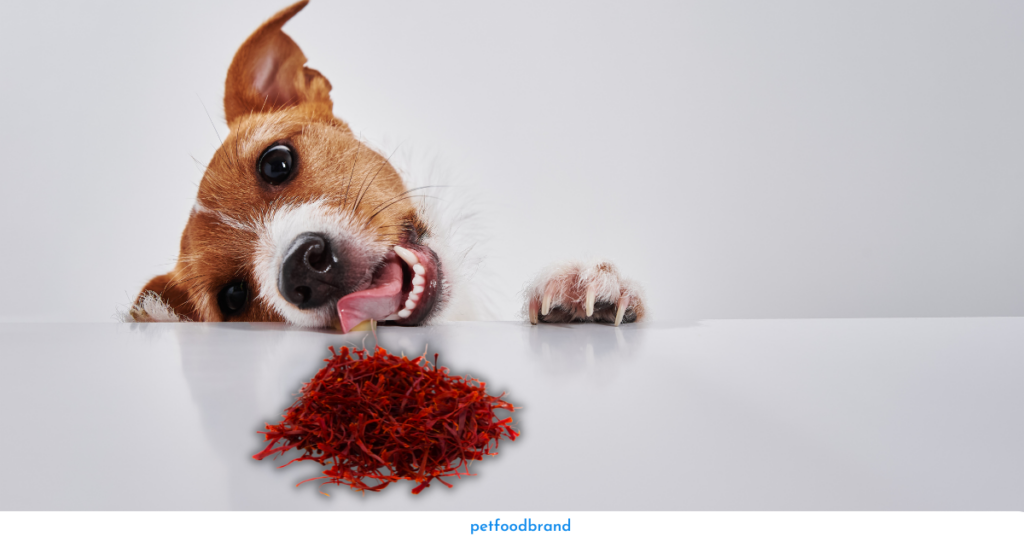 Can dogs eat Saffron